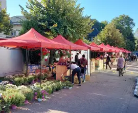 Foto Târg cu produse tradiţionale de Sărbători, organizat la Slatina
