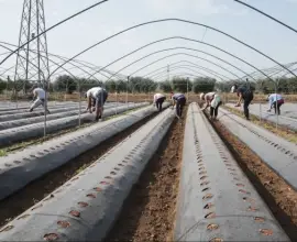 Foto Recomandările ITM Olt pentru românii care pleacă să muncească peste hotare