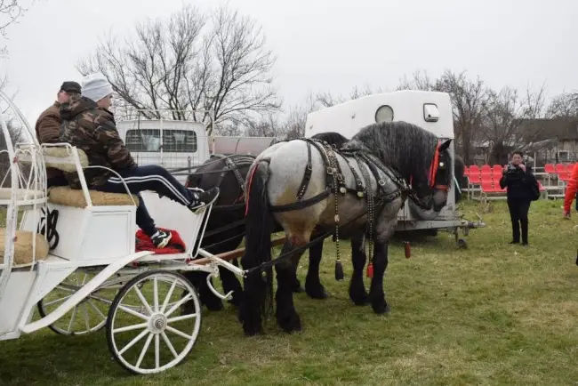 Foto Tradiţia de Sân’ Toader, păstrată la Brâncoveni. Încuratul Cailor, la ediţia a 12-a (FOTO)