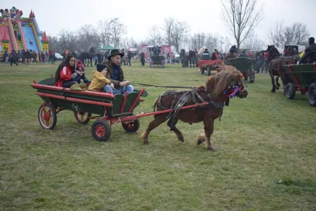 Foto Tradiţia de Sân’ Toader, păstrată la Brâncoveni. Încuratul Cailor, la ediţia a 12-a (FOTO)