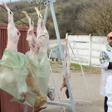 Foto DSVSA Olt: De săptămâna viitoare pot fi solicitate avizele pentru înfiinţarea punctelor temporare de sacrificare a mieilor