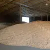 Imagine 11 mai, ultima zi de depunere a cererilor la APIA pentru sprijinul financiar în criza cerealelor