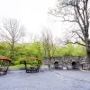 Imagine Zona de grătare de la Pădurea Strehareţi, extinsă. Primăria va construi şi un nou loc de joacă