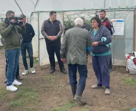 Foto FOTO&VIDEO. Petre Daea vizită fulger la Izbiceni. Controlul, după o sesizare că se folosesc substanţe interzise pentru a se grăbi coacerea tomatelor