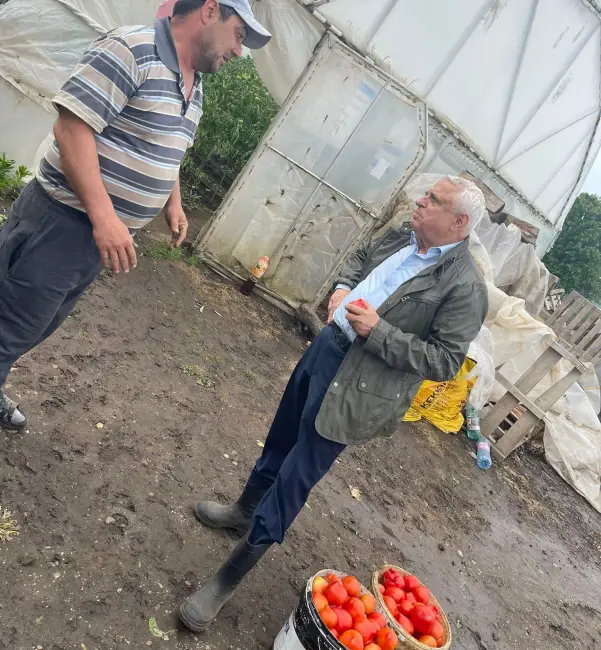 Foto FOTO&VIDEO. Petre Daea vizită fulger la Izbiceni. Controlul, după o sesizare că se folosesc substanţe interzise pentru a se grăbi coacerea tomatelor