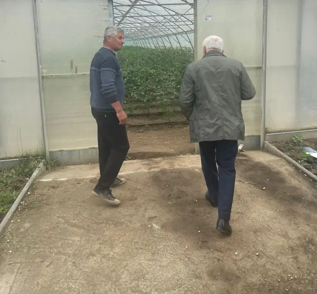 Foto FOTO&VIDEO. Petre Daea vizită fulger la Izbiceni. Controlul, după o sesizare că se folosesc substanţe interzise pentru a se grăbi coacerea tomatelor