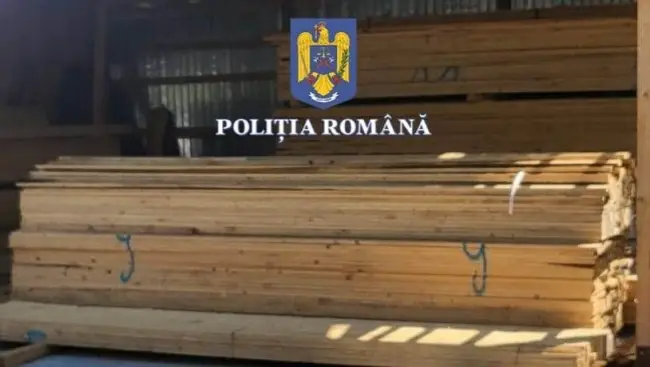 Foto Amenzi şi confiscare a materialului lemnos, în urma unei acţiuni desfăşurate în Olt. 50.000 de lei, amenda aplicată unei societăţi din Tufeni