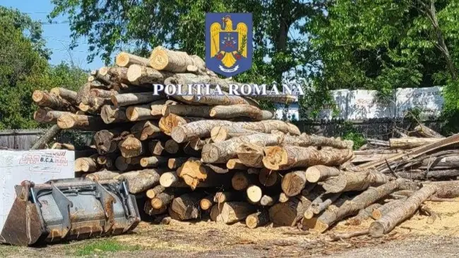 Foto Amenzi şi confiscare a materialului lemnos, în urma unei acţiuni desfăşurate în Olt. 50.000 de lei, amenda aplicată unei societăţi din Tufeni
