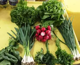 Foto Aplicaţie pregătită de fermierii olteni pentru livrarea la domiciliu de legume, fructe şi produse lactate