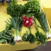 Foto Aplicaţie pregătită de fermierii olteni pentru livrarea la domiciliu de legume, fructe şi produse lactate