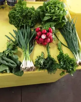 Foto Aplicaţie pregătită de fermierii olteni pentru livrarea la domiciliu de legume, fructe şi produse lactate