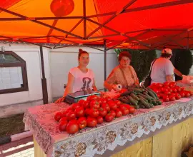 Foto Soluţie ingenioasă de irigare a plantelor, utilizând apa dintr-un bazin cu peşti. Roşiile, castraveţii şi ardeii, disponibili în Piaţa Producătorilor Olteni din Slatina