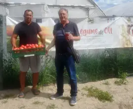 Foto Povestea lui Ionuţ Răducu, tânârul care s-a întors în România din Italia pentru a face legumicultură la Strejeşti