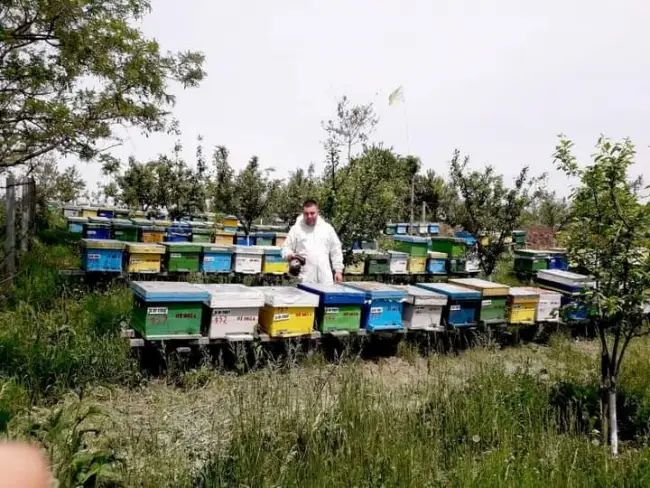Foto Povestea lui Aurel Stancu, tânărul apicultor din Olt care şi-ar dori să ajungă să trăiască din apicultură (FOTO)