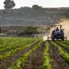 Imagine A fost aprobată Hotărârea pentru acordarea sprijinului de urgență pentru fermierii din sectorul vegetal