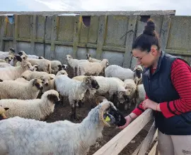 Foto Povestea Adrianei Verdeş, tânăra din Scorniceşti care aduce în Piaţa Producătorilor Olteni de la Slatina cele mai delicioase produse lactate