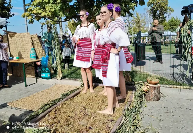 Foto Oltenii puseră iar vamă la Podul Olt Olt. Începe Festivalul „Oltenii &… Restu’ Lumii”, care se întinde până duminică (FOTO)