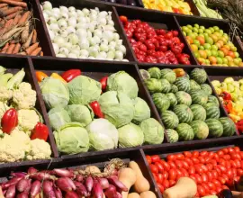 Foto Două depozite de legume din Izbiceni au fost amendate în urma unor controale ale DSVSA Olt