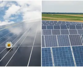 Foto Florin Barbu: Fermierii și procesatorii pot depune proiecte pentru realizarea capacităților noi de producere energie electrică din surse solare sau eoliene