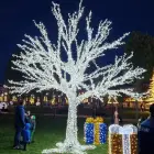 Foto S-a aprins iluminatul festiv din Slatina. Probe făcute de Primărie, în Parcul Tineretului