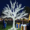 Imagine S-a aprins iluminatul festiv din Slatina. Probe făcute de Primărie, în Parcul Tineretului