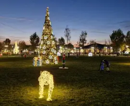 Foto Spectacol la Slatina, în seara de 1 Decembrie, când se aprinde iluminatul festiv