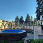 Foto Din primăvară dispar statuile amplasate în faţa Primăriei Balş. Proiectul s-a remarcat prin kitsch şi costuri imense