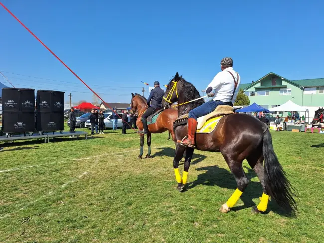 Foto Tradiţie păstrată. Sărbătoarea „Încuratul cailor de Sân’ Toader” de la Brâncoveni  a ajuns la a 13-a ediţie (FOTO)