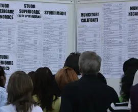 Foto Rata şomajului în judeţul Olt este de 5,55%