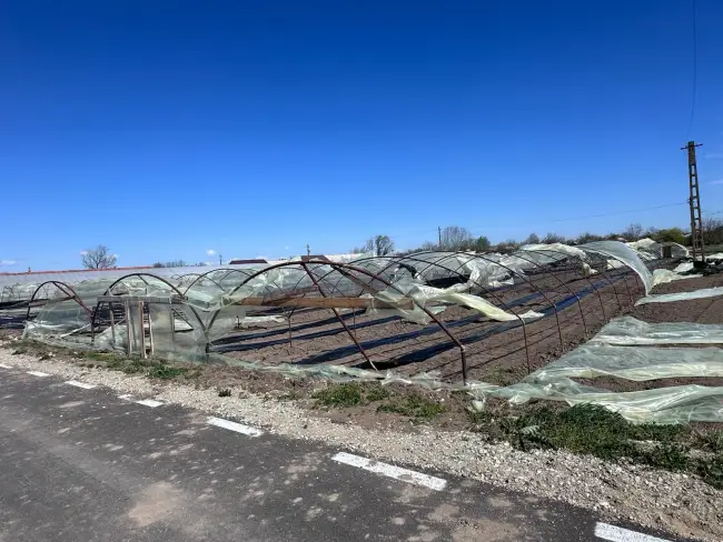 Foto Solariile legumicultorilor din Olt, distruse de vântul puternic (FOTO&VIDEO)