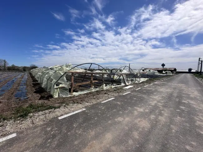 Foto Solariile legumicultorilor din Olt, distruse de vântul puternic (FOTO&VIDEO)