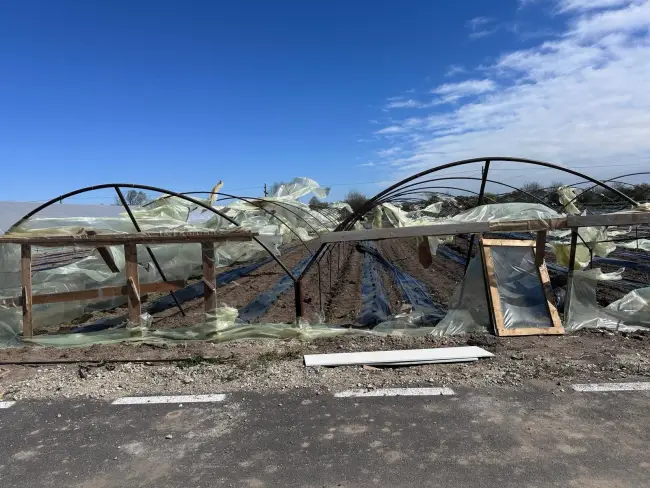 Foto Solariile legumicultorilor din Olt, distruse de vântul puternic (FOTO&VIDEO)