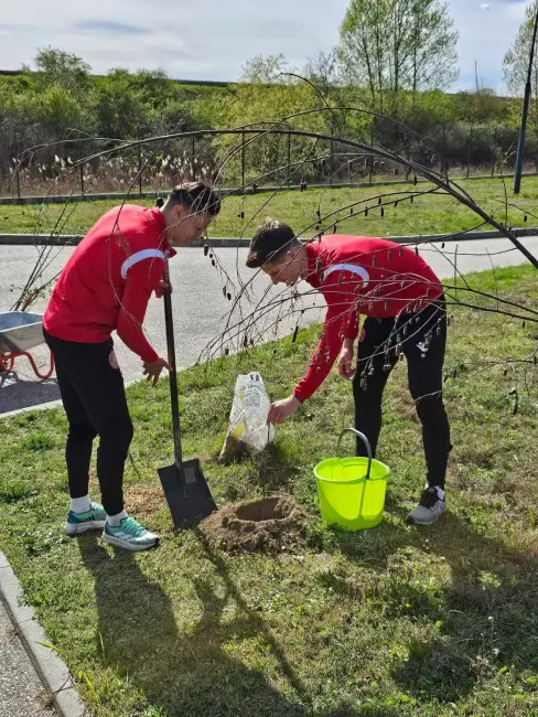 Foto CSM Slatina, grijă pentru mediul înconjurător. Fotbaliştii au plantat pomi