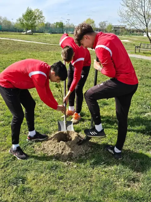 Foto CSM Slatina, grijă pentru mediul înconjurător. Fotbaliştii au plantat pomi