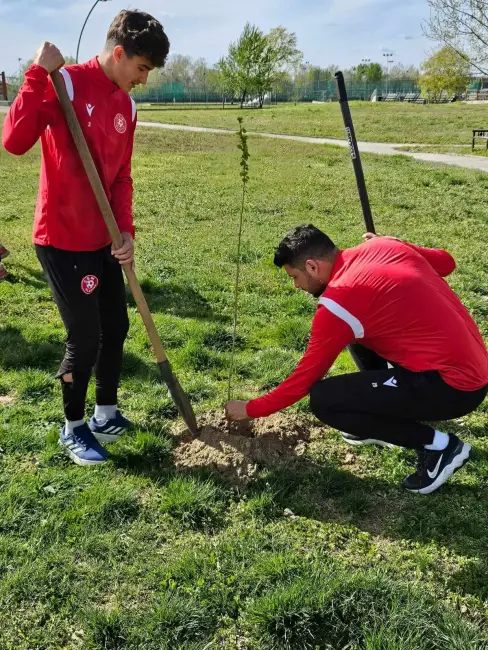 Foto CSM Slatina, grijă pentru mediul înconjurător. Fotbaliştii au plantat pomi