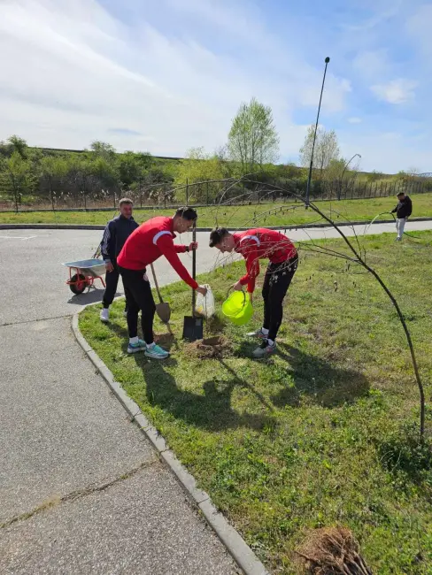 Foto CSM Slatina, grijă pentru mediul înconjurător. Fotbaliştii au plantat pomi