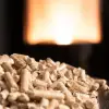 Imagine Peleți preț tonă - Alegerea inteligentă pentru încălzirea casei tale în mod eficient și ecologic