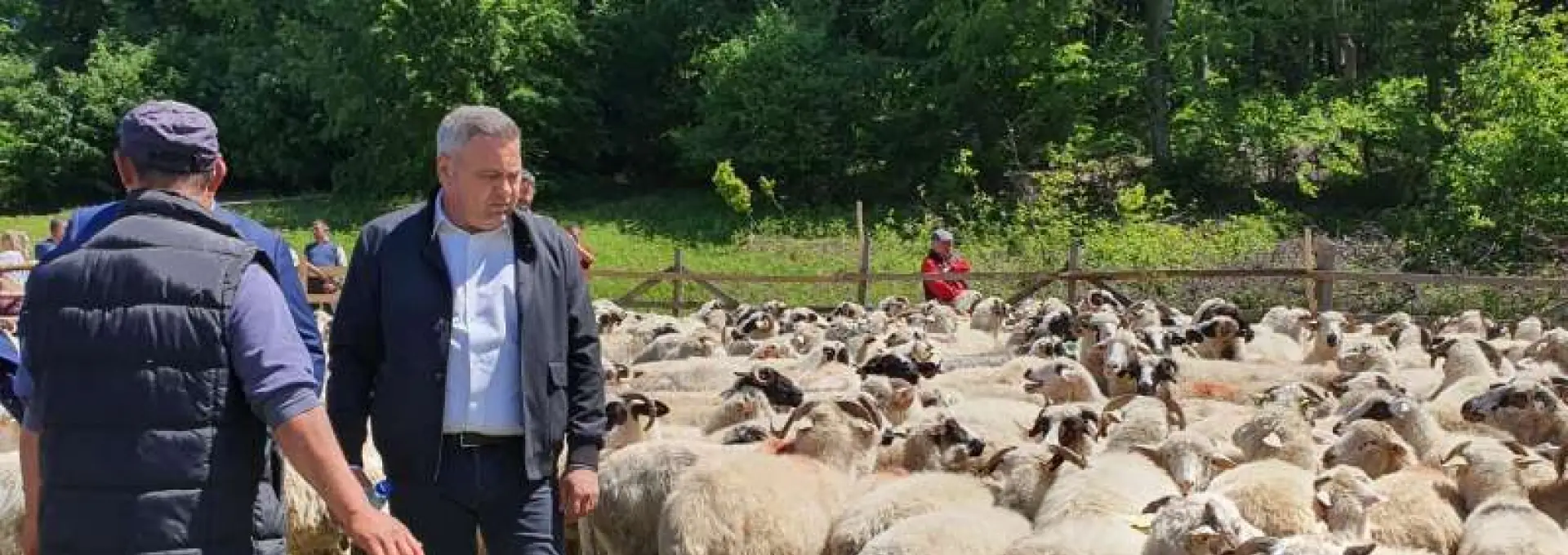 Foto VIDEO. Florin Barbu, la Sâmbra Oilor: Sunt alături de autoritățile locale și județene și de fiecare fermier
