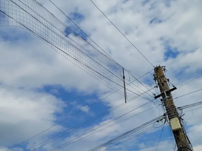 Foto Situaţie tragicomică, la Brebeni: Primăria a instalat, în 2022, ghirlande luminoase deasupra străzilor din localitate şi nu le-a mai dat jos niciodată (FOTO)