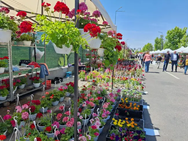Foto Expo Flora 28, deschisă oficial la Slatina (FOTO)