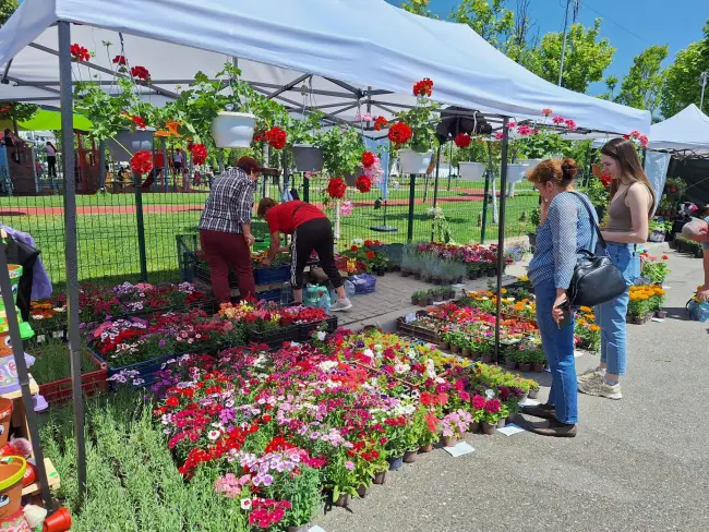 Foto Expo Flora 28, deschisă oficial la Slatina (FOTO)