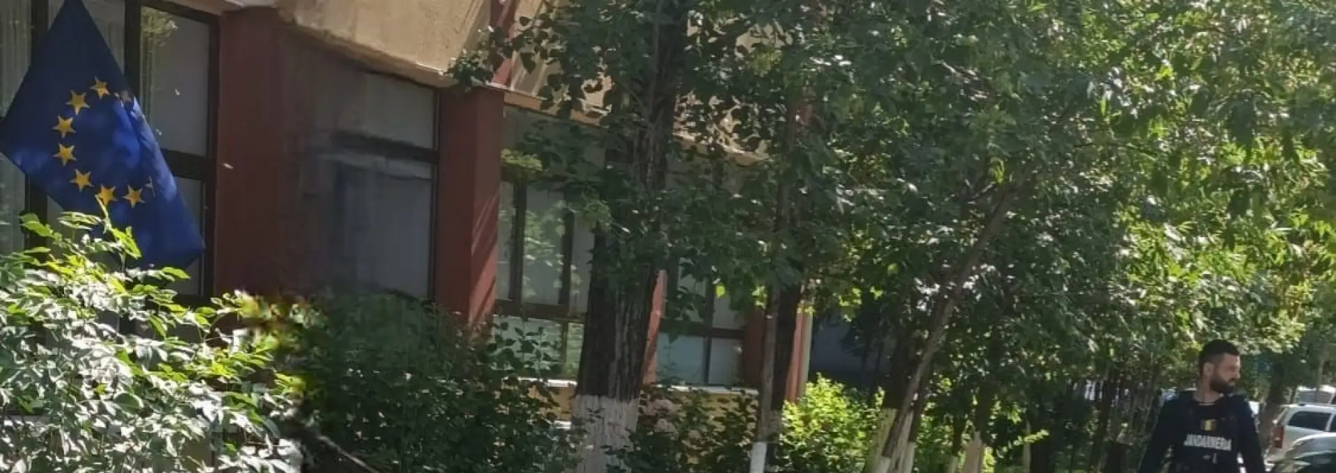 Foto Roi de albine pe stradă şi şarpe de 1,5 metri într-o gospodărie. Jandarmii olteni au intervenit (VIDEO)