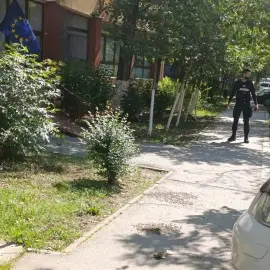 Foto Roi de albine pe stradă şi şarpe de 1,5 metri într-o gospodărie. Jandarmii olteni au intervenit (VIDEO)