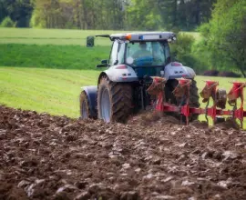 Foto Fermierii pot depune până pe 7 iunie cererile pentru plata pe suprafaţă