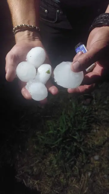 Foto Grindină de mari dimensiuni, în mai multe localităţi din Olt (FOTO&VIDEO)