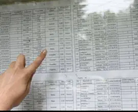 Foto Au fost afişate rezultatele la Titularizare 2024. O singură notă de 10, în judeţul Olt