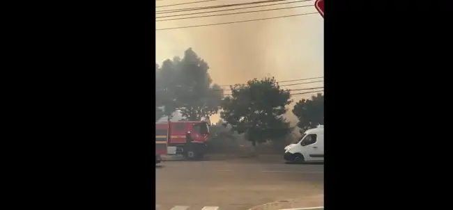 Foto Incendiu de vegetaţie, cu degajări mari de fum, în Slatina, pe strada Drăgăneşti