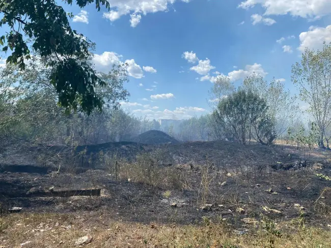 Foto Incendiu de vegetaţie, cu degajări mari de fum, în Slatina, pe strada Drăgăneşti