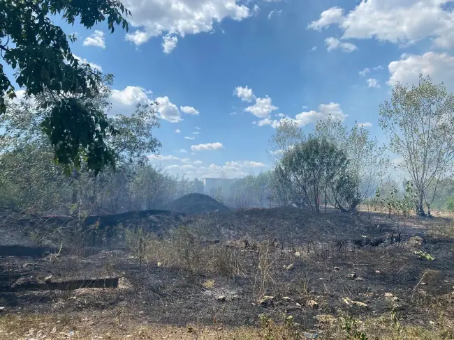 Foto Incendiu de vegetaţie, cu degajări mari de fum, în Slatina, pe strada Drăgăneşti