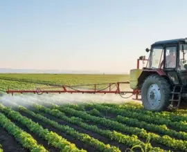 Foto Fermierii pot depune, din 3 martie, cererile pentru plata unică pe suprafaţă   